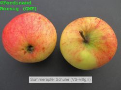 A1SommerapfelSchulerVsVillingenLinks_1